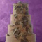 Cake 6